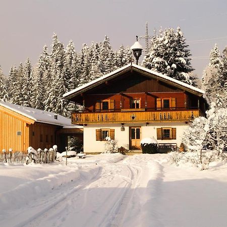 Going Artenreich Going am Wilden Kaiser Bagian luar foto