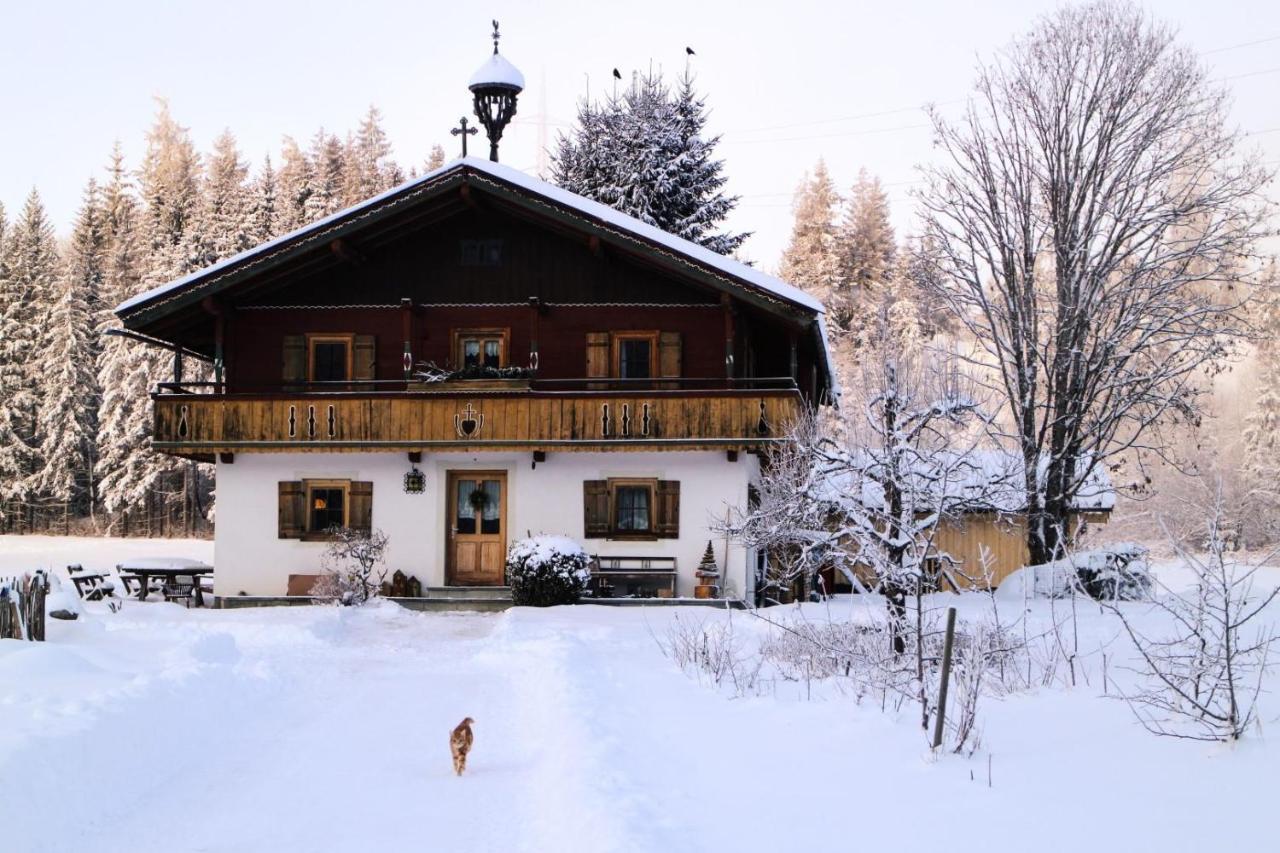 Going Artenreich Going am Wilden Kaiser Bagian luar foto
