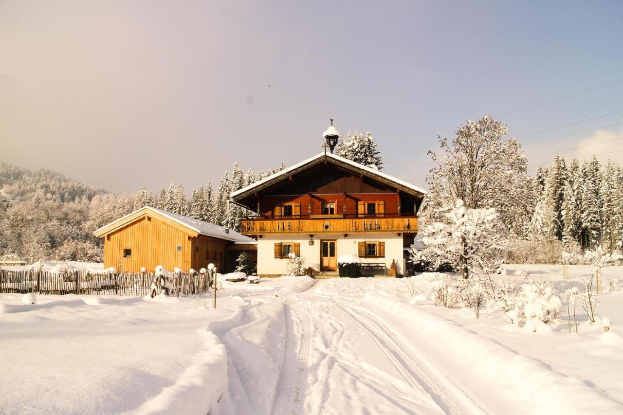 Going Artenreich Going am Wilden Kaiser Bagian luar foto