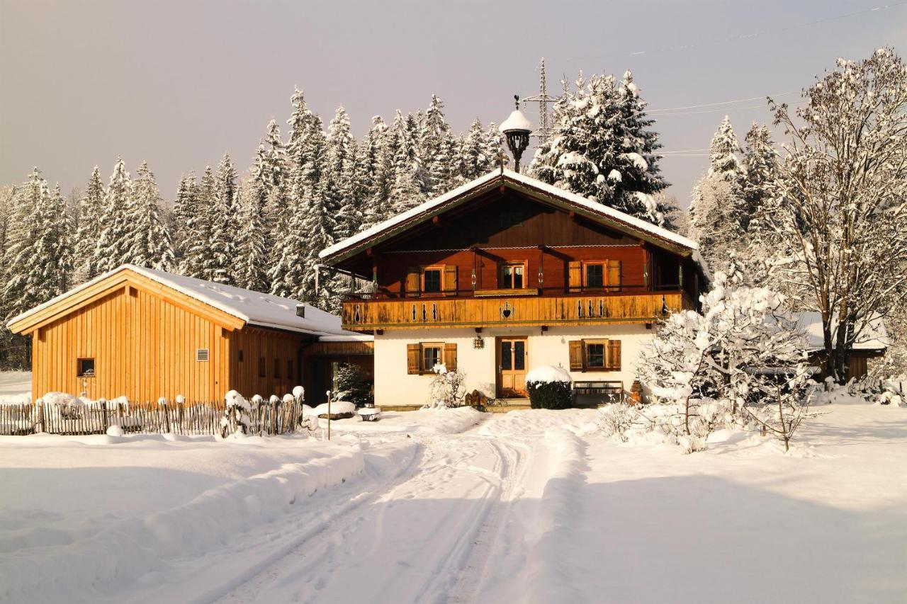 Going Artenreich Going am Wilden Kaiser Bagian luar foto