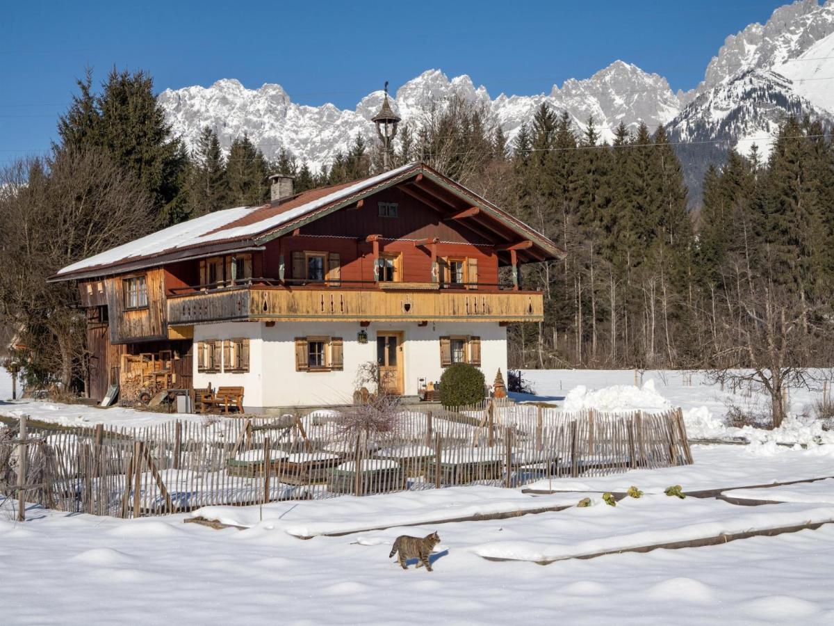 Going Artenreich Going am Wilden Kaiser Bagian luar foto